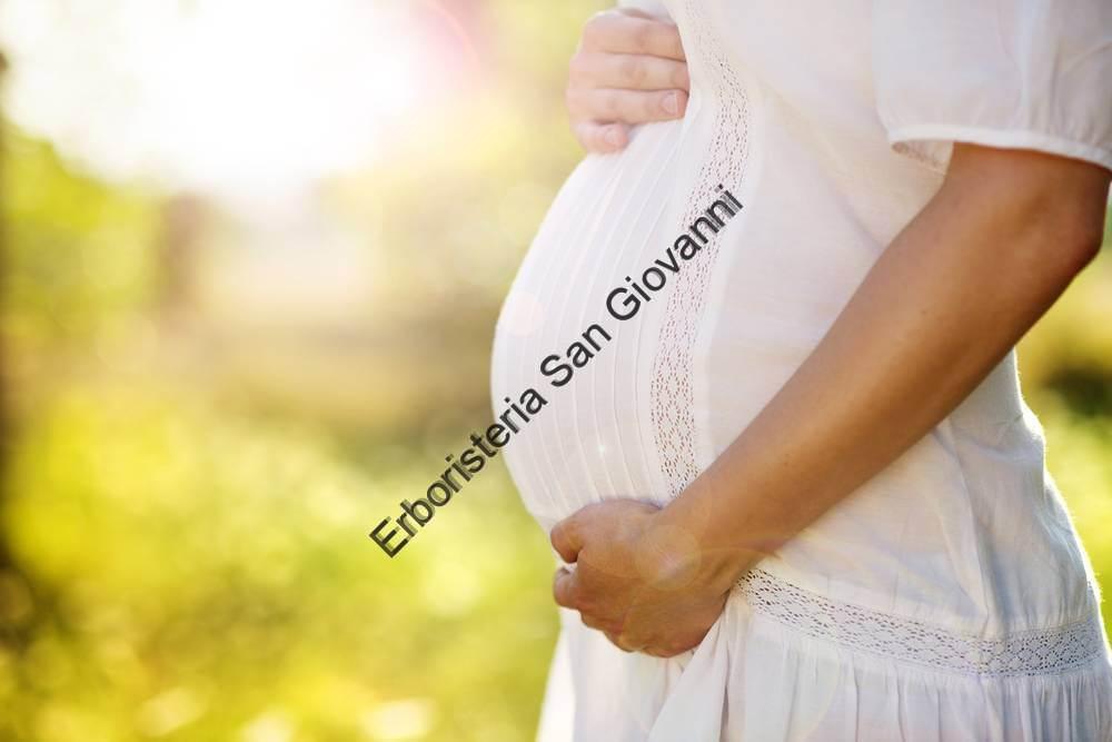 gravidanza erbe